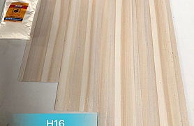 Sàn nhựa keo riêng  H16