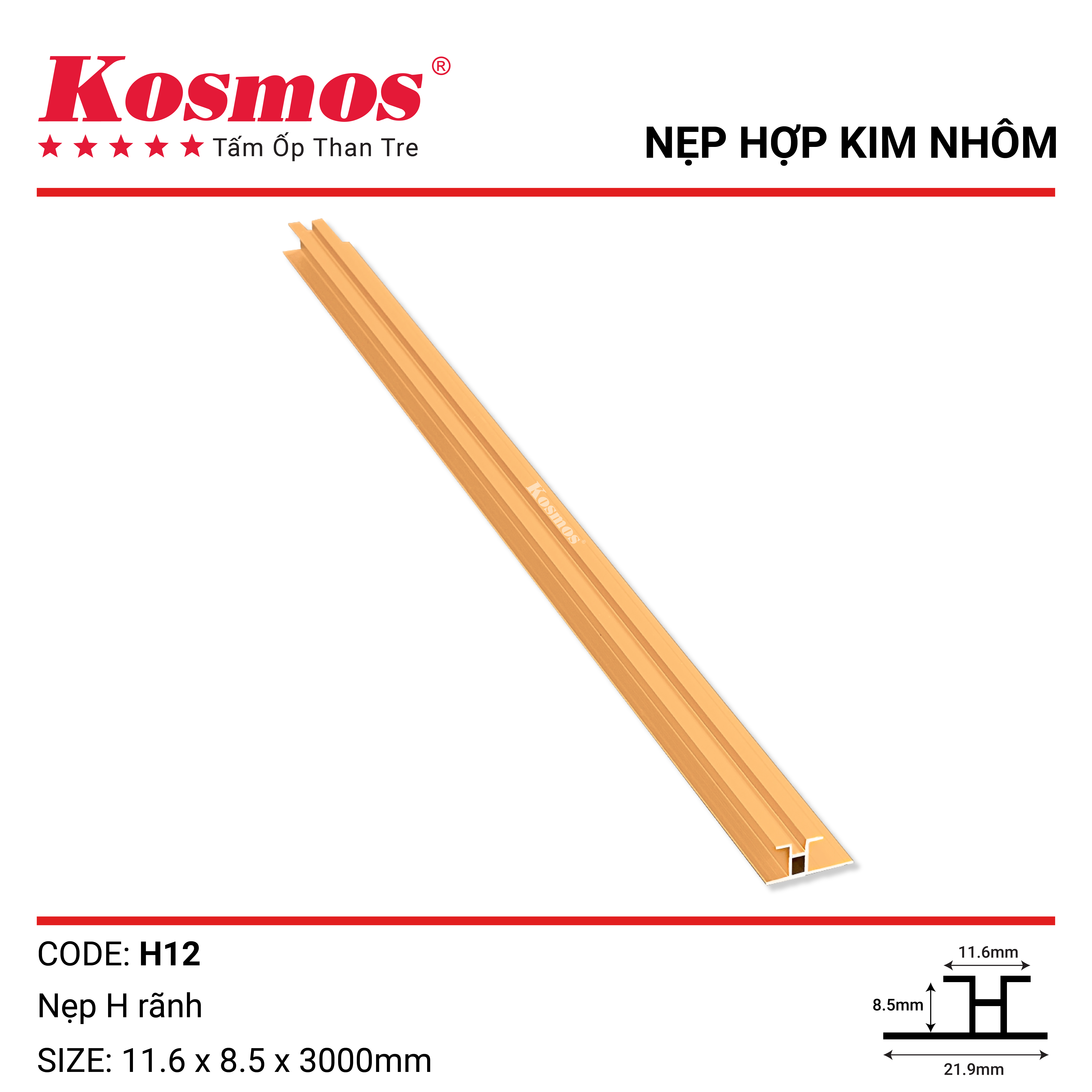 NẸP H RÃNH -GOLD