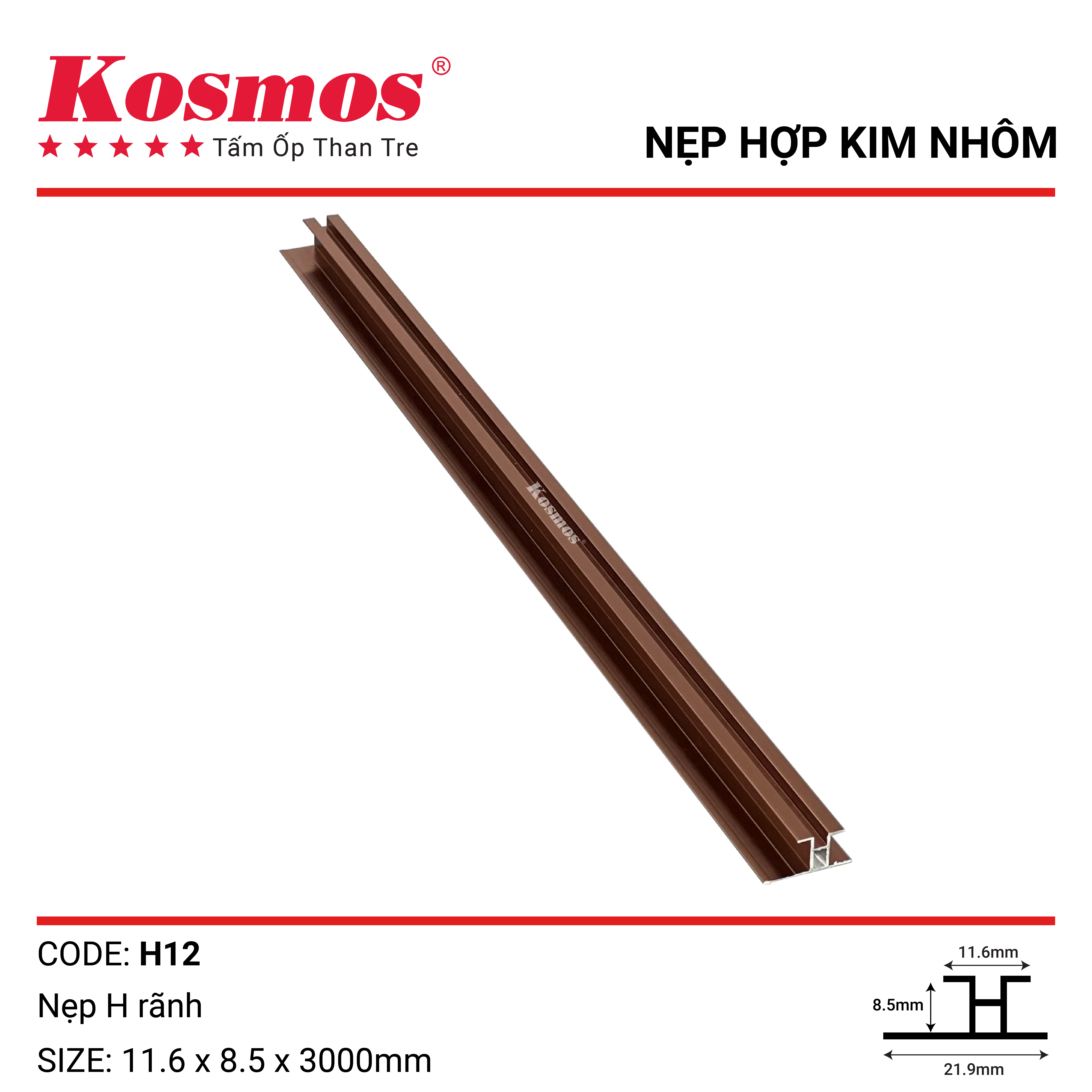 NẸP H RẢNH -SÂM PANH