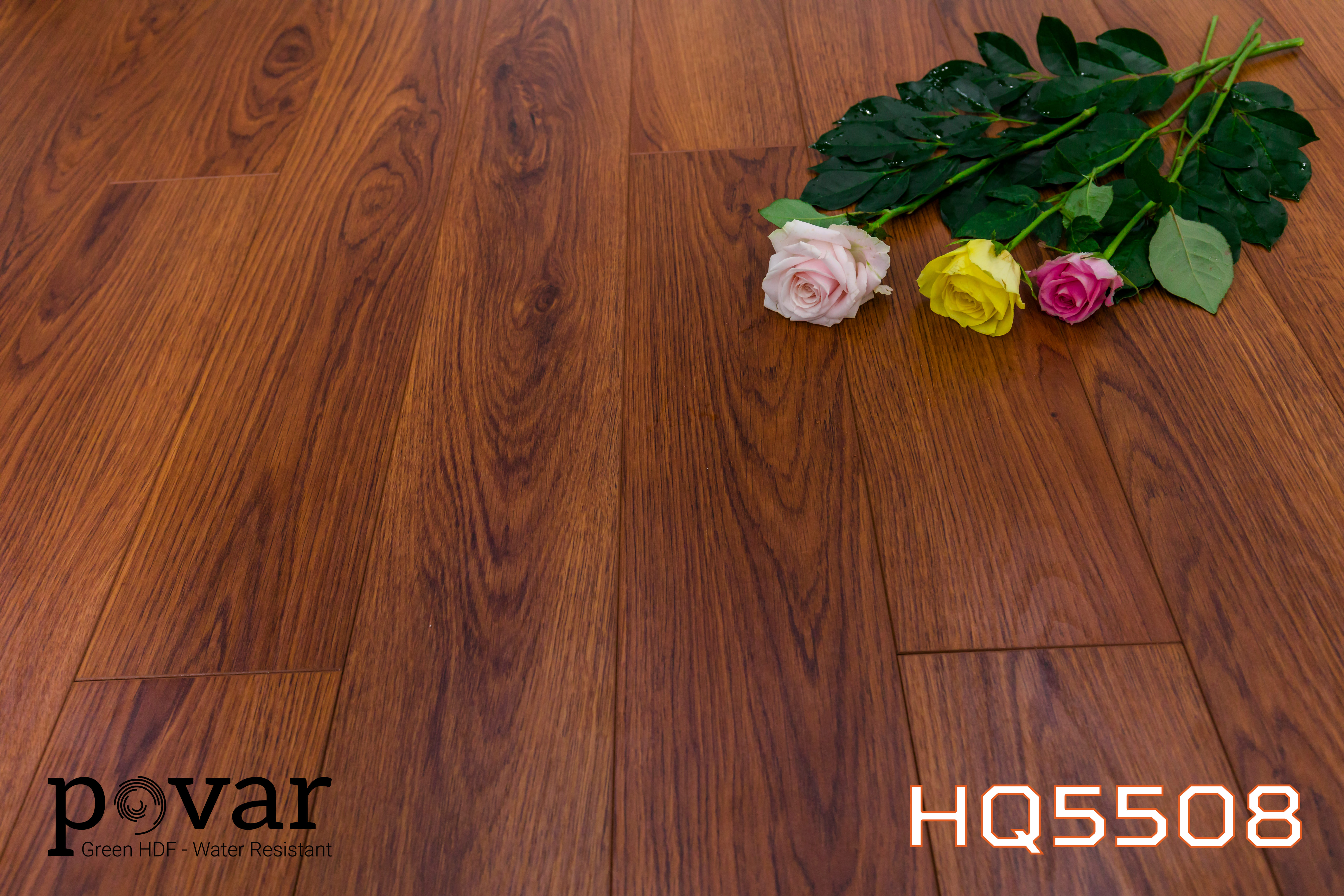 HQ5508 Sàn gỗ Povar